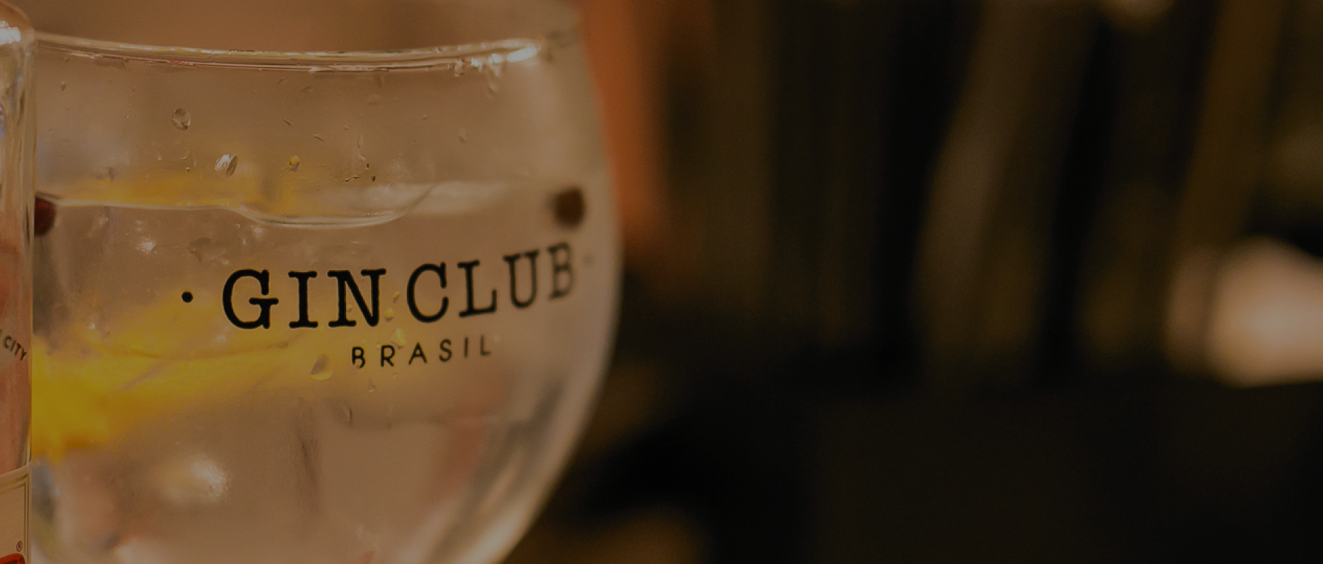 #nv_188 BOTÂNICOS . GINS . ACESSÓRIOS